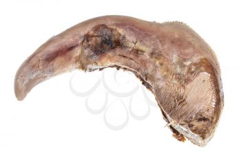 single boiled beef tongue isolated on white background