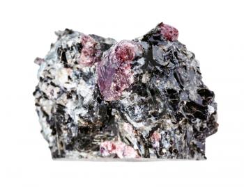 macro photography of sample of natural mineral from geological collection - unpolished red Garnet crystals in Biotite rock isolated on white background