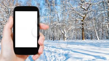 travel concept - tourist photographs of panoramic view of forest glade in city park in winter in Moscow city on smartphone with empty cutout screen with blank place for advertising
