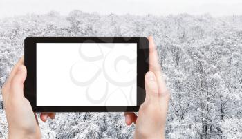 travel concept - tourist photographs of panoramic view of snow covered trees in city park in winter in Moscow city on smartphone with empty cutout screen with blank place for advertising