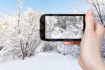 travel concept - tourist photographs of snow-covered branches in city park in winter morning on smartphone in Moscow, Russia