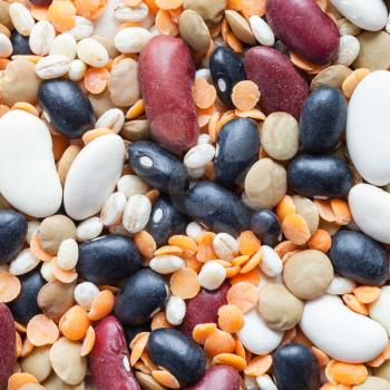 food background - various beans, lentils and pearl barley close up