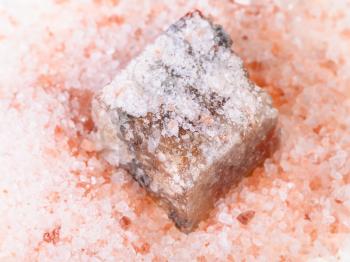 top view of rough Halite mineral in grained pink Himalayan Salt close up