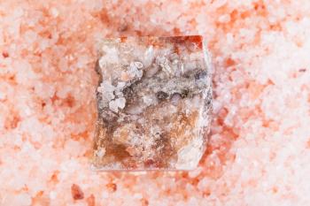 top view of natural rough Halite mineral in grained pink Himalayan Salt close up