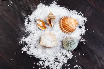 top view of coarse grained Sea Salt and seashells on dark brown wooden board
