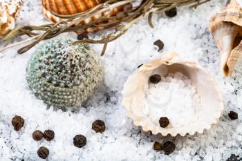 shells, coarse grained Sea Salt and peppercorns close up