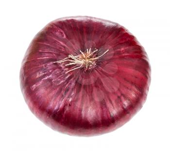 top view of bulb of sweet crimean The Yalta onion isolated on white background