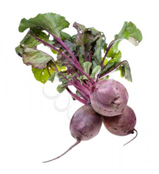 bunch of fresh organic garden beet roots with greens isolated on white background