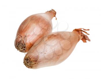 two bulbs of shallot onion close-up isolated on white background
