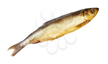 cold-smoked atlantic herring isolated on white background