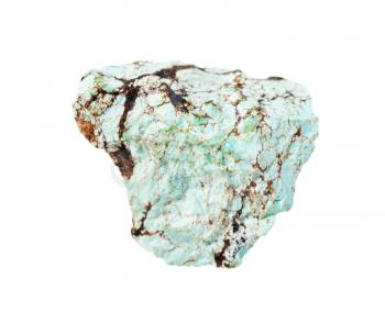 closeup of sample of natural mineral from geological collection - unpolished Turquoise stone isolated on white background