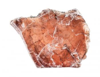 closeup of sample of natural mineral from geological collection - brown muscovite mica isolated on white background