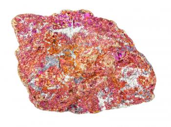 closeup of sample of natural mineral from geological collection - unpolished red Chalcopyrite rock isolated on white background
