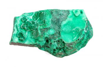 closeup of sample of natural mineral from geological collection - raw Malachite rock isolated on white background