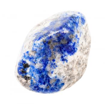 closeup of sample of natural mineral from geological collection - tumbled Lapis lazuli (Lazurite) gemstone isolated on white background