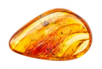 closeup of sample of natural mineral from geological collection - polished Amber gemstone with inclusions isolated on white background