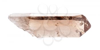 closeup of sample of natural mineral from geological collection - raw crystal of smoky quartz isolated on white background