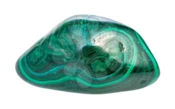 closeup of sample of natural mineral from geological collection - polished Malachite gemstone isolated on white background