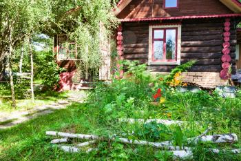 birch logs and flower bed at yard of wooden rural house in Russia on sunny summer day