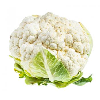 fresh ripe Cauliflower isolated on white background