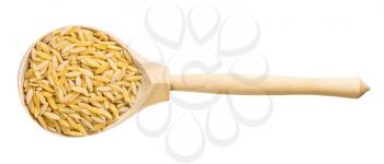 top view of wood spoon with uncooked orzo risoni pasta isolated on white background