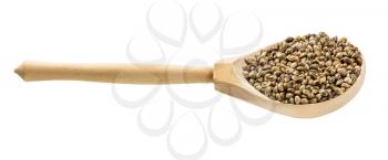 wooden spoon with unpeeled hemp seeds isolated on white background