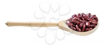 wooden spoon with red kidney beans isolated on white background