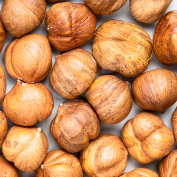 square food background - shelled hazelnuts close up