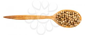 top view of wood spoon with coriander seeds isolated on white background