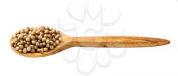 wooden spoon with coriander seeds isolated on white background