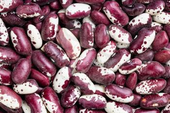 food background - many red speckled kidney beans close up