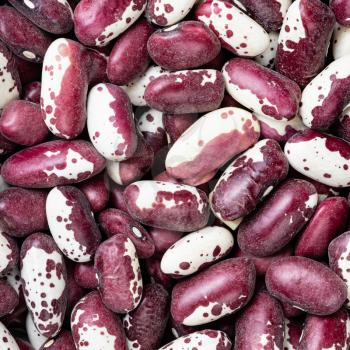 square food background - red speckled kidney beans close up