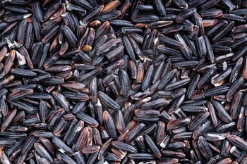 food background - many raw black rice grains close up