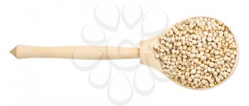 top view of raw unpolished Sorghum grains in wood spoon isolated on white background