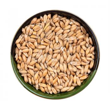 top view of spelt wheat grains in round bowl isolated on white background