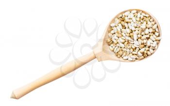 top view of safflower seeds in wood spoon isolated on white background