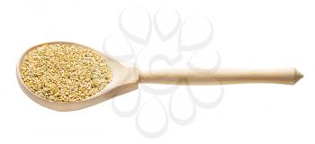 whole-grain foxtail millet seeds in wooden spoon isolated on white background