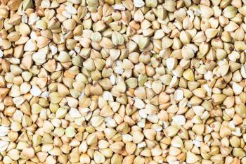 food background - top view of raw green buckwheat