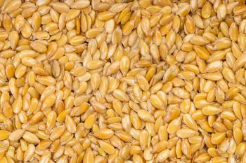 food background - many golden flax seeds