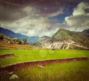 Vintage retro hipster style travel image of rice field terraces (rice paddy) with grunge texture overlaid. Near Cat Cat village, near Sapa, Vietnam