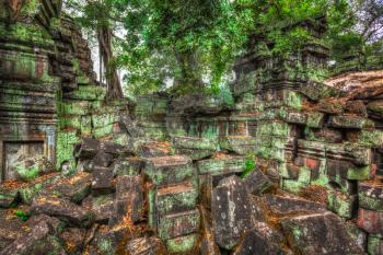 High dynamic range (hdr) image of  ancient ruins with trees, Ta Prohm temple, Angkor, Cambodia