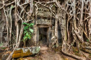 Travel Cambodia concept background - ancient stone door and tree roots, Ta Prohm temple ruins, Angkor, Cambodia