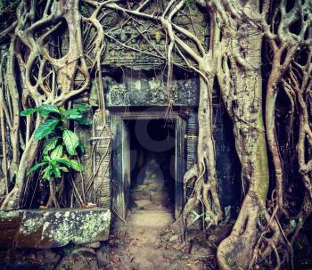 Vintage retro effect filtered hipster style travel image of ancient stone door and tree roots, Ta Prohm temple ruins, Angkor, Cambodia