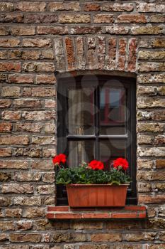 Window in brick wall with flowers in Europe. Bruges (Brugge), Belgium