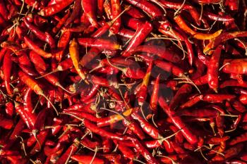 Red spicy chili peppers at asian market close up texture background