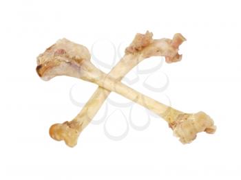 Crossed bones taken closeup isolated on a white background.