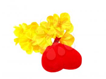 Red heart and yellow flowers  isolated on white background.