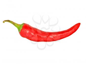 Red hot chile pepper isolated on a white background.