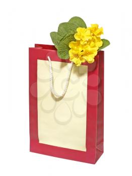 Birthdat Gift bag with the yellow flowers isolated on a white background.
