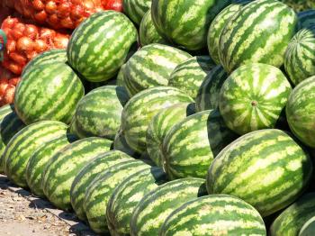Ripe watermelons in the summer roadside bazaar.